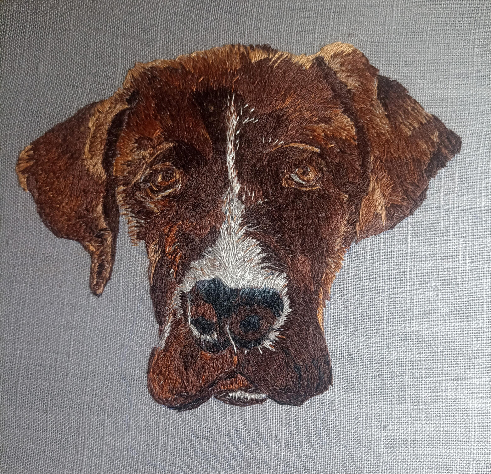 Leonardo (2024) 22cm x 22cm